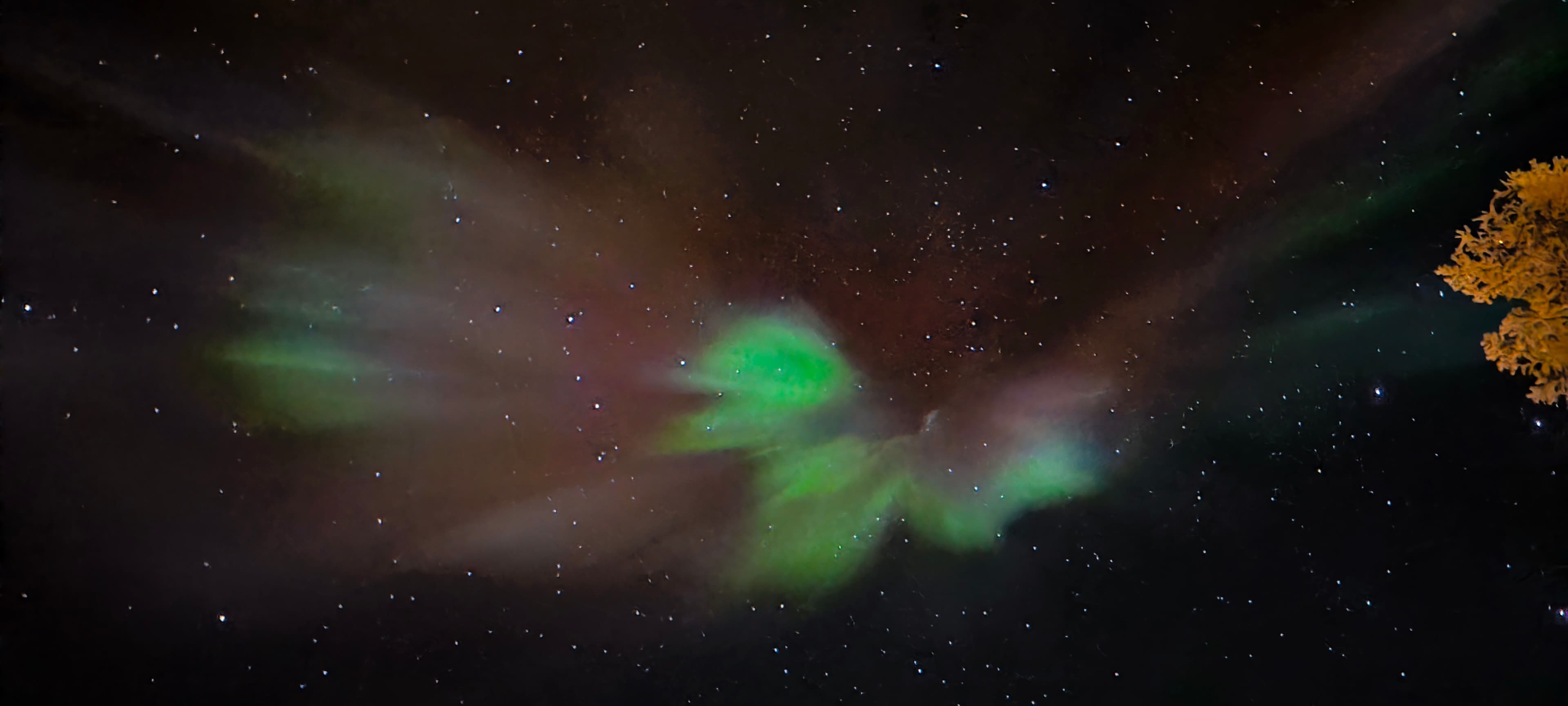 Aurora Floating